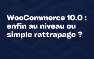 woocommerce 10
